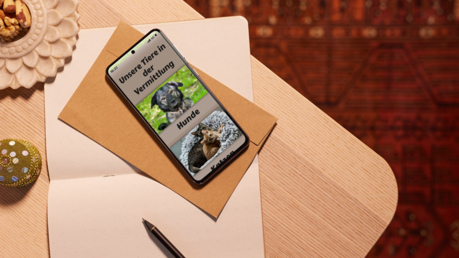 Website-Redesign für das Tierheim Brilon